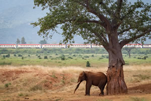 Kenya 2025