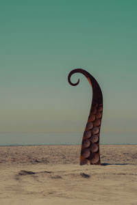 Bombay Beach Images with a Wes Anderson Vibe