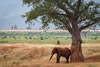 1_The_Itch_Kenya